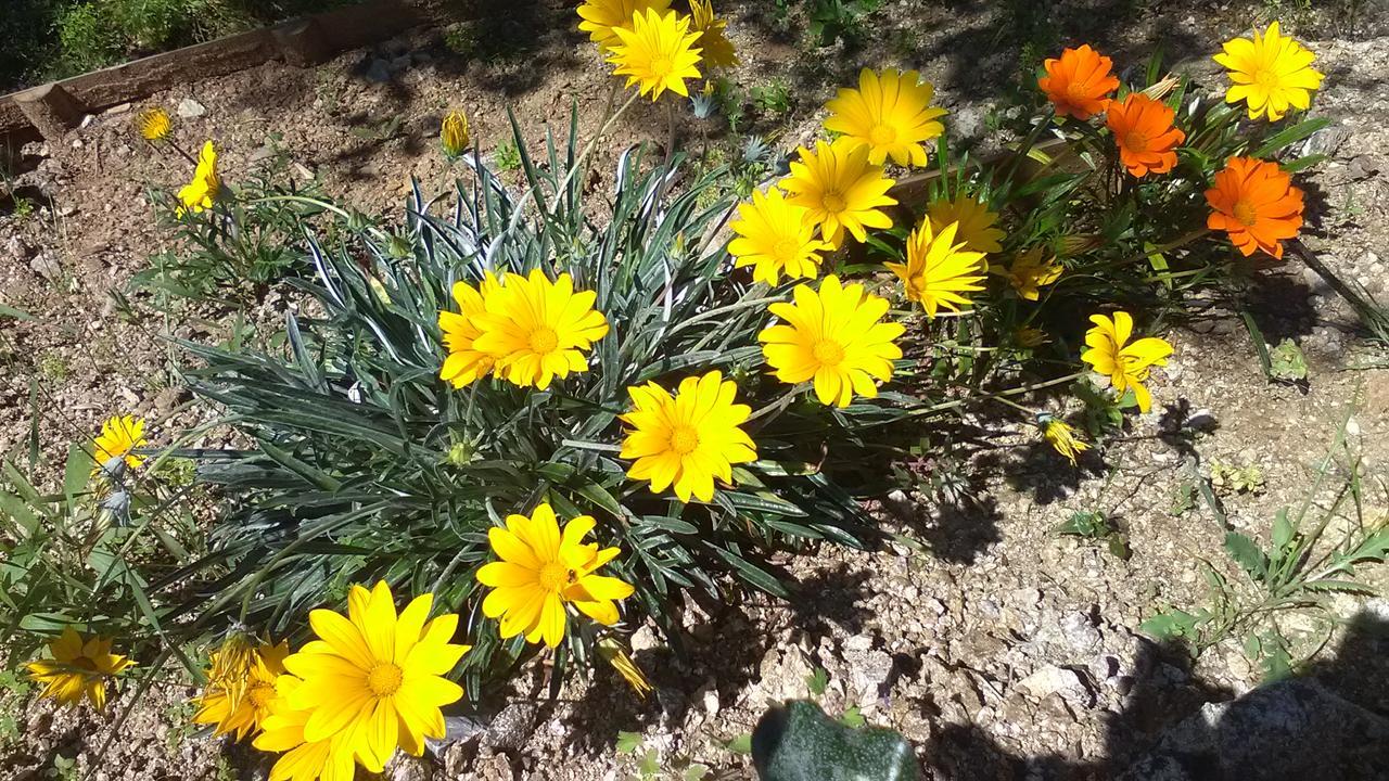 Villa La Croisette Sainte-Maxime Kültér fotó